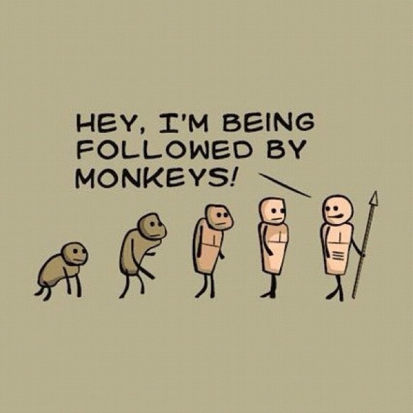 follwed by monkeys