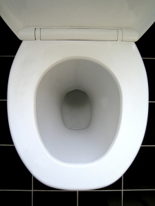 toilet bowl uk