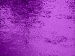 purple raindrops